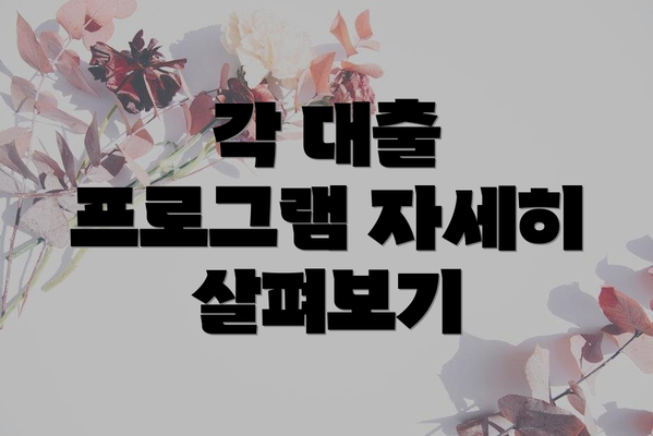 각 대출 프로그램 자세히 살펴보기