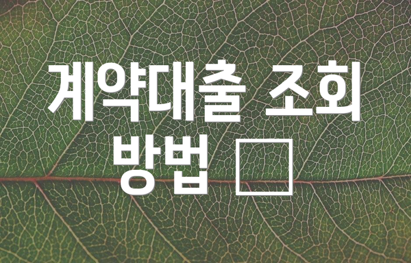 계약대출 조회 방법 🔍