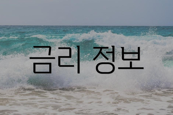 금리 정보