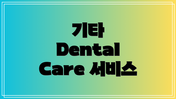 기타 Dental Care 서비스