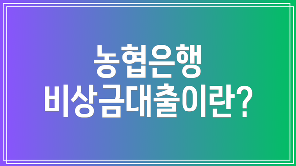 농협은행 비상금대출이란?