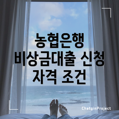 농협은행 비상금대출 신청 자격 조건