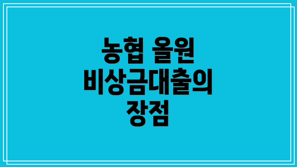 농협 올원 비상금대출의 장점