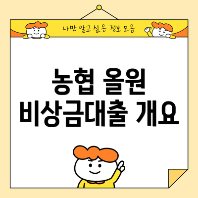 농협 올원 비상금대출 개요