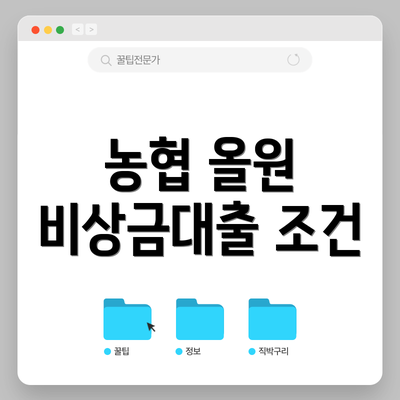 농협 올원 비상금대출 조건