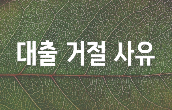 대출 거절 사유