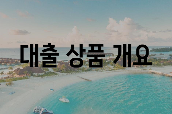 대출 상품 개요