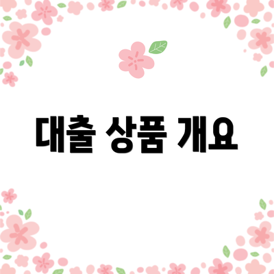 대출 상품 개요