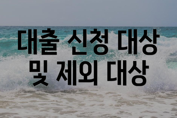 대출 신청 대상 및 제외 대상