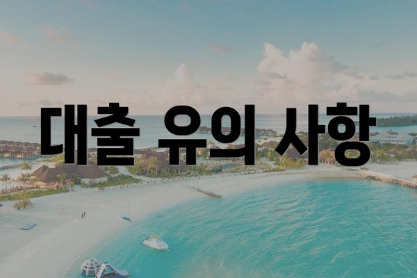 대출 유의 사항