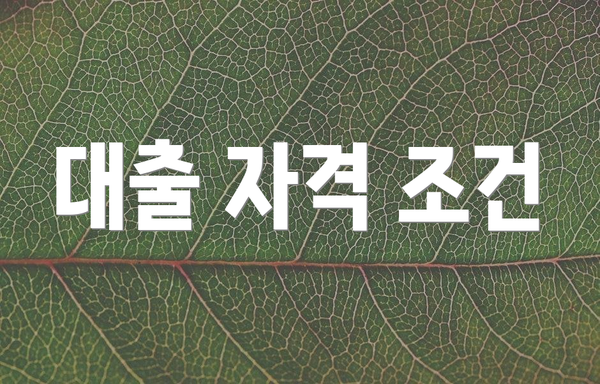 대출 자격 조건