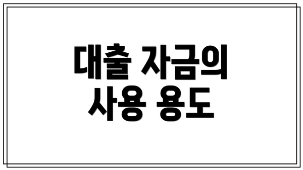 대출 자금의 사용 용도