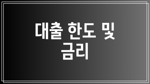 대출 한도 및 금리