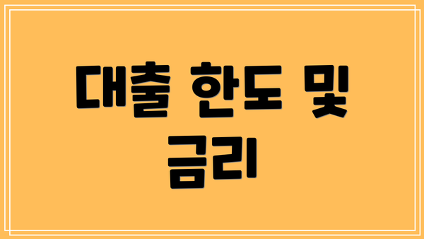 대출 한도 및 금리