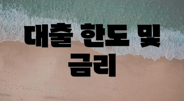 대출 한도 및 금리