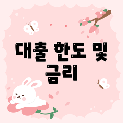 대출 한도 및 금리