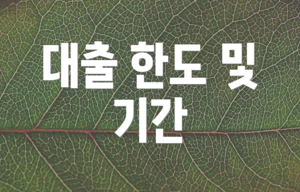 대출 한도 및 기간