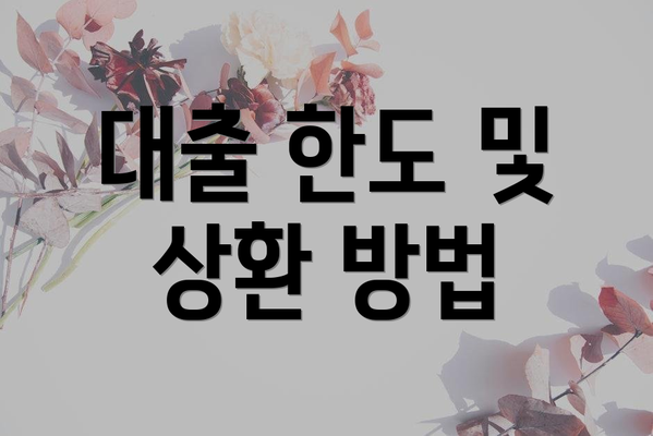 대출 한도 및 상환 방법