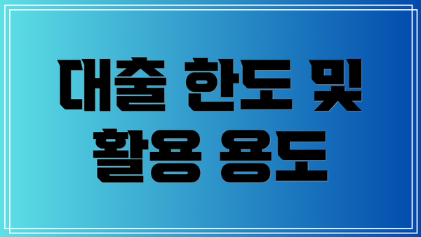 대출 한도 및 활용 용도