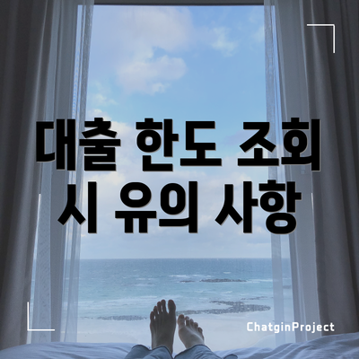대출 한도 조회 시 유의 사항