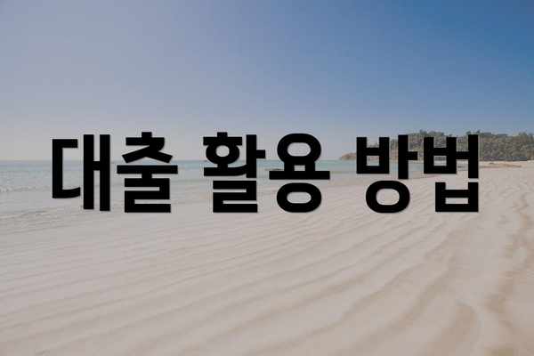 대출 활용 방법