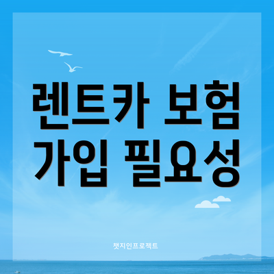 렌트카 보험 가입 필요성