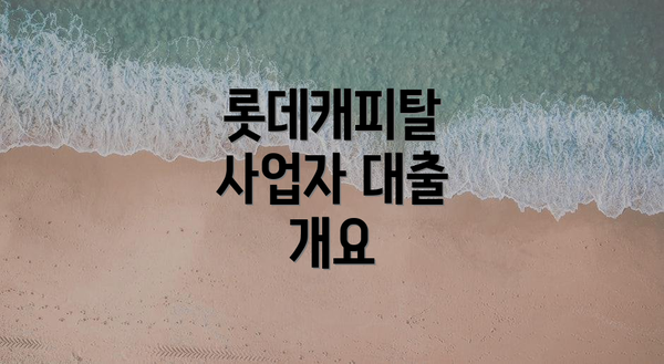 롯데캐피탈 사업자 대출 개요