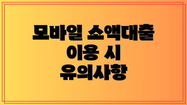 모바일 소액대출 이용 시 유의사항