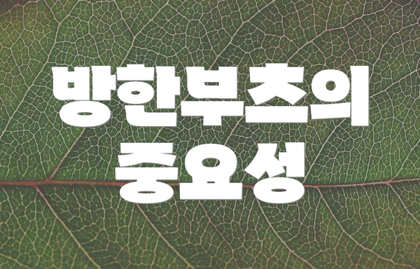 방한부츠의 중요성