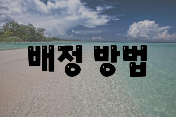 배정 방법