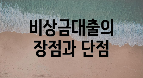 비상금대출의 장점과 단점