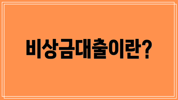 비상금대출이란?