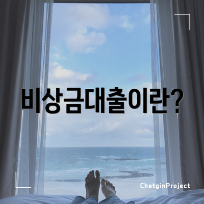 비상금대출이란?