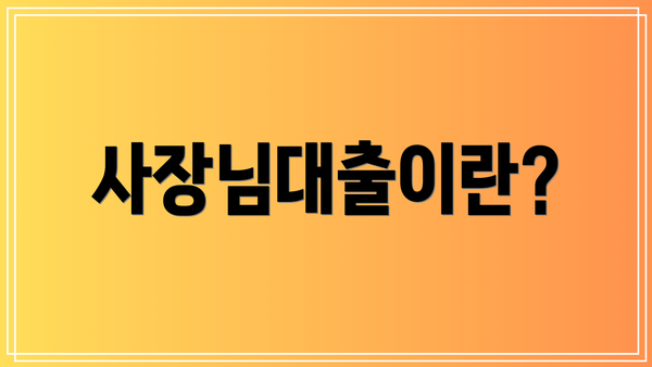 사장님대출이란?