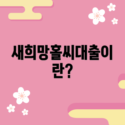 새희망홀씨대출이란?