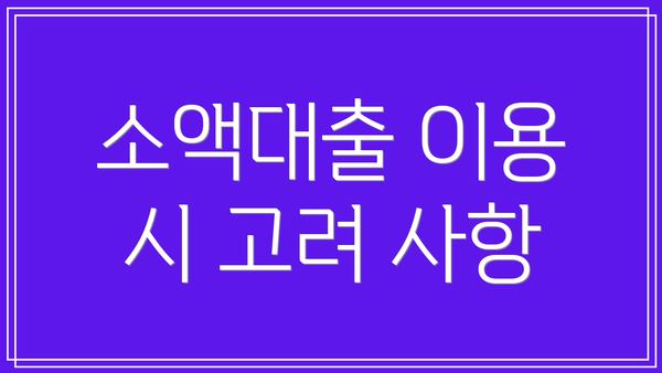 소액대출 이용 시 고려 사항