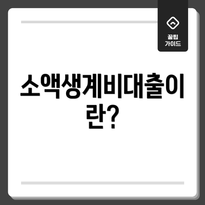 소액생계비대출이란?