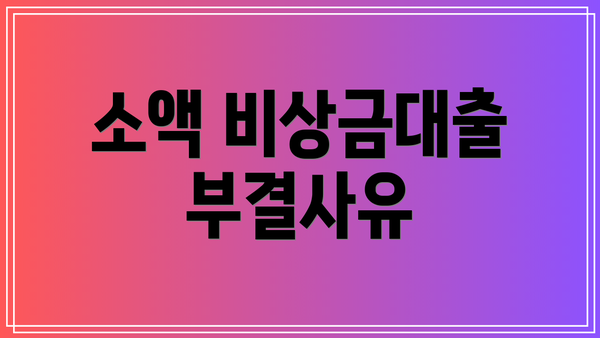소액 비상금대출 부결사유