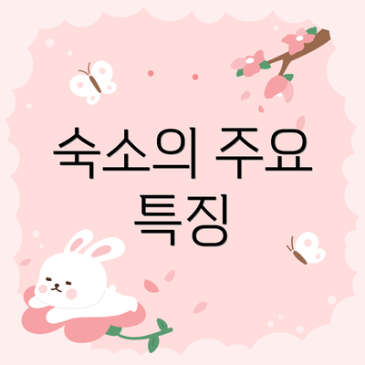 숙소의 주요 특징