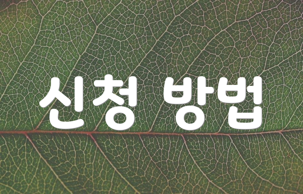 신청 방법