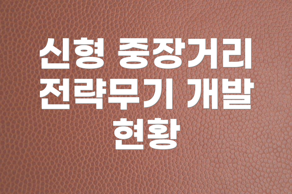 신형 중장거리 전략무기 개발 현황