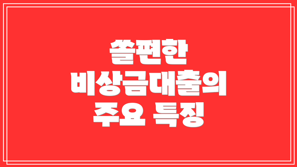 쏠편한 비상금대출의 주요 특징