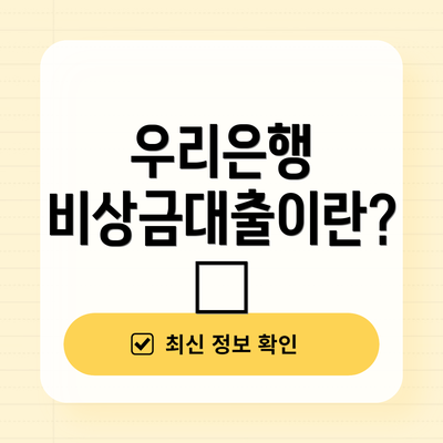 우리은행 비상금대출이란? 💸