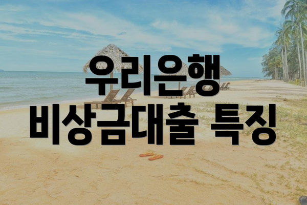 우리은행 비상금대출 특징