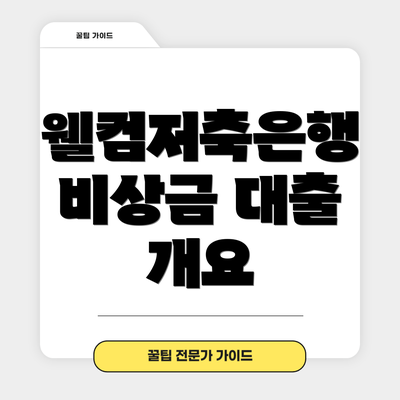 웰컴저축은행 비상금 대출 개요
