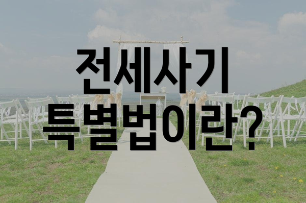 전세사기 특별법이란?