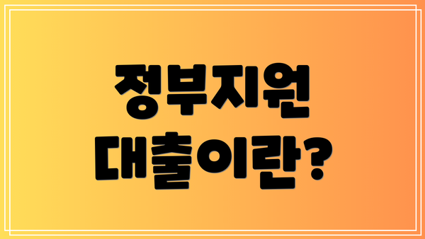 정부지원 대출이란?