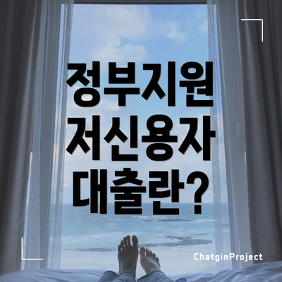 정부지원 저신용자 대출란?