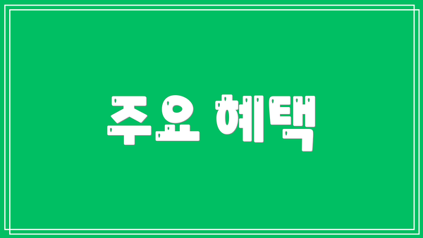 주요 혜택