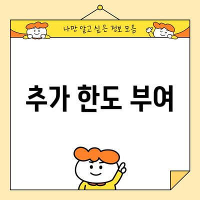 추가 한도 부여